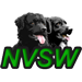 nvsw-logo
